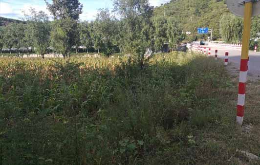 琉璃庙镇琉璃庙村村南土地使用权