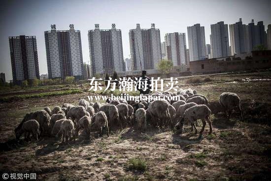 最新落户政策再次松绑