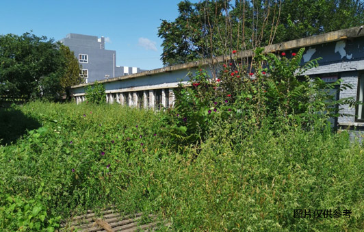 通汇路3号土地+房产