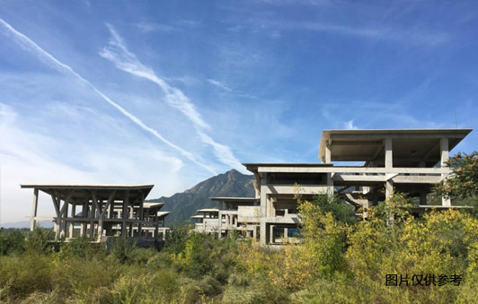 张山营镇西羊坊村的土地使用权+在建工程